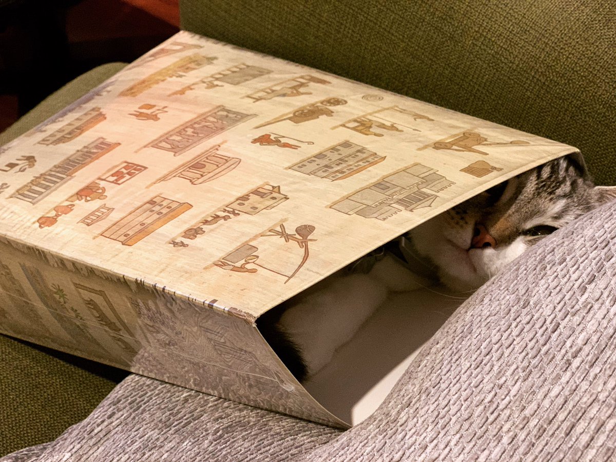 TheMotleyGeek's tweet photo. Tuffy has claimed the Gentes #deluxified sleeve for herself. I need an extra now for the game please

🎲: #Gentes
🕋: @TastyMinstrel
🧠: #ActionPointAllowance #CardDrafting

#TheMotleyGeek #geek #geekgirl #tabletop #tabletopgames #bgg #boardgamegeek #boardgames #ToughChweong #cat https://t.co/ecOYjdZQVH