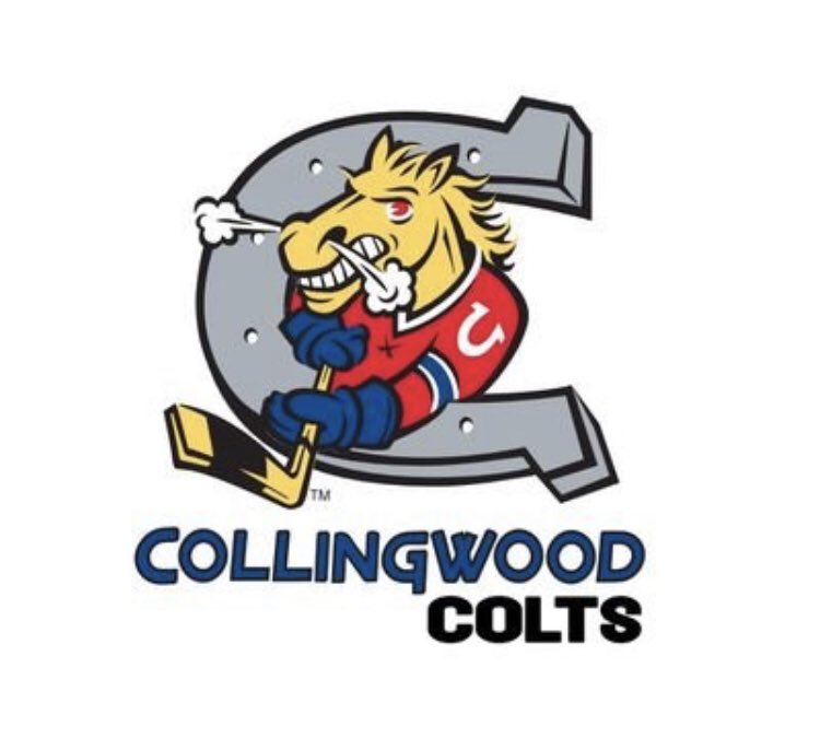 LeafsMaz20's tweet photo. I am pleased to announce that I have hired @ryanpmcarthur to join the @Collingwoodcolt family as a GTHL Scout. Ryan’s passion for the game &amp; life long love for the @OHLBarrieColts franchise ensures his commitment &amp; drive to building a winning pedigree in @TownCollingwood https://t.co/ljBzll6ISo