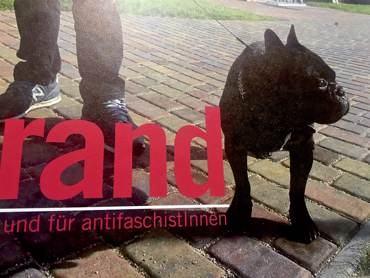 derrechterand's tweet photo. Hallo antifaschistisch handelnder Mensch - schon gesehen - @derrechterand ist da.
Wir haben viel gegen die #AfD und ihrer Jugendorganisation
Portraits
#Poggenburg
#Patzelt
#Ochsenreiter
Steuergeld, Stiftung #Flügel #Kommunalwahl
#Waffenlobby und passend: #WeißeWölfe #Terrorcrew https://t.co/D79Pb8mi83