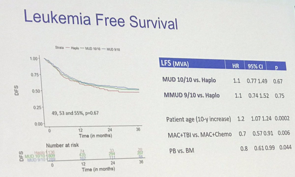 Monica Rivera tweet media