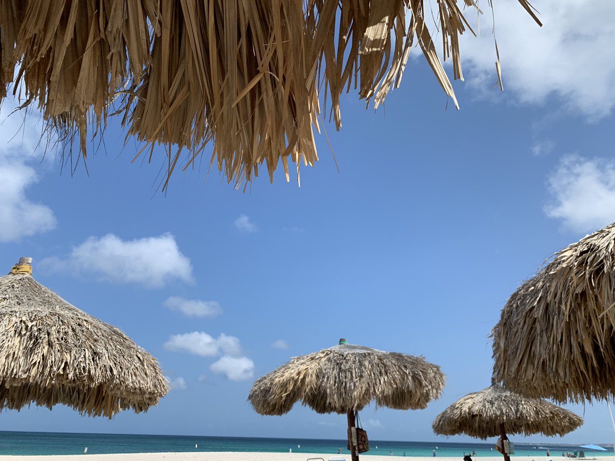 Benson Willis tweet media