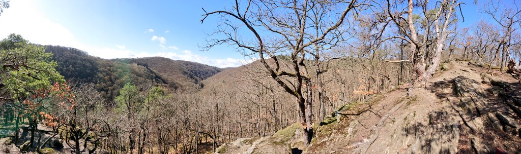 Judith_Claassen's tweet photo. Der krönende Abschluss eines schönen Urlaubs - Ehrbachklamm im #hunsrück https://t.co/42EzJPx88L