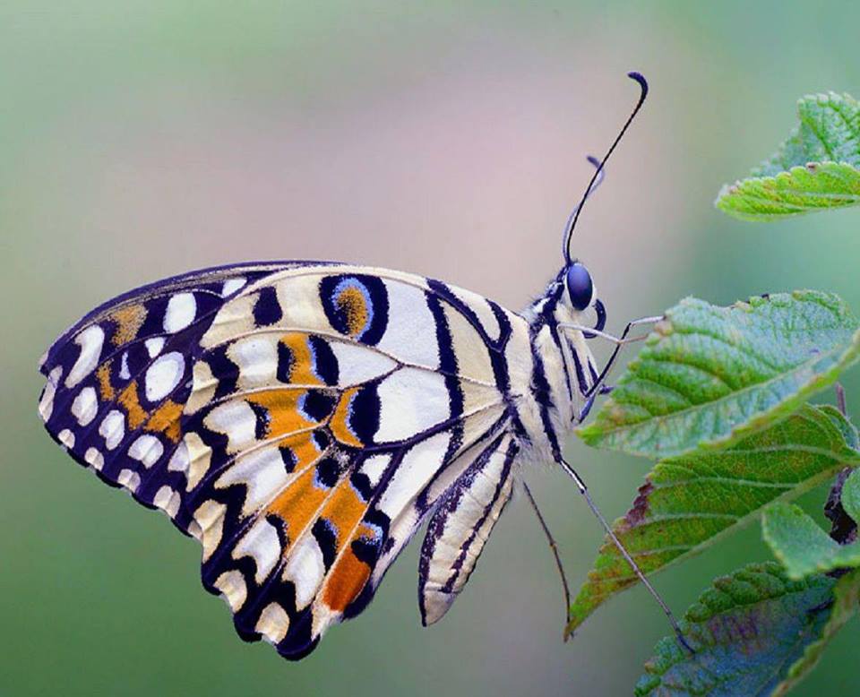 La nostra è una breve esistenza: oggi siamo, domani non più. Solo Dio È.
#conilverboESISTERE