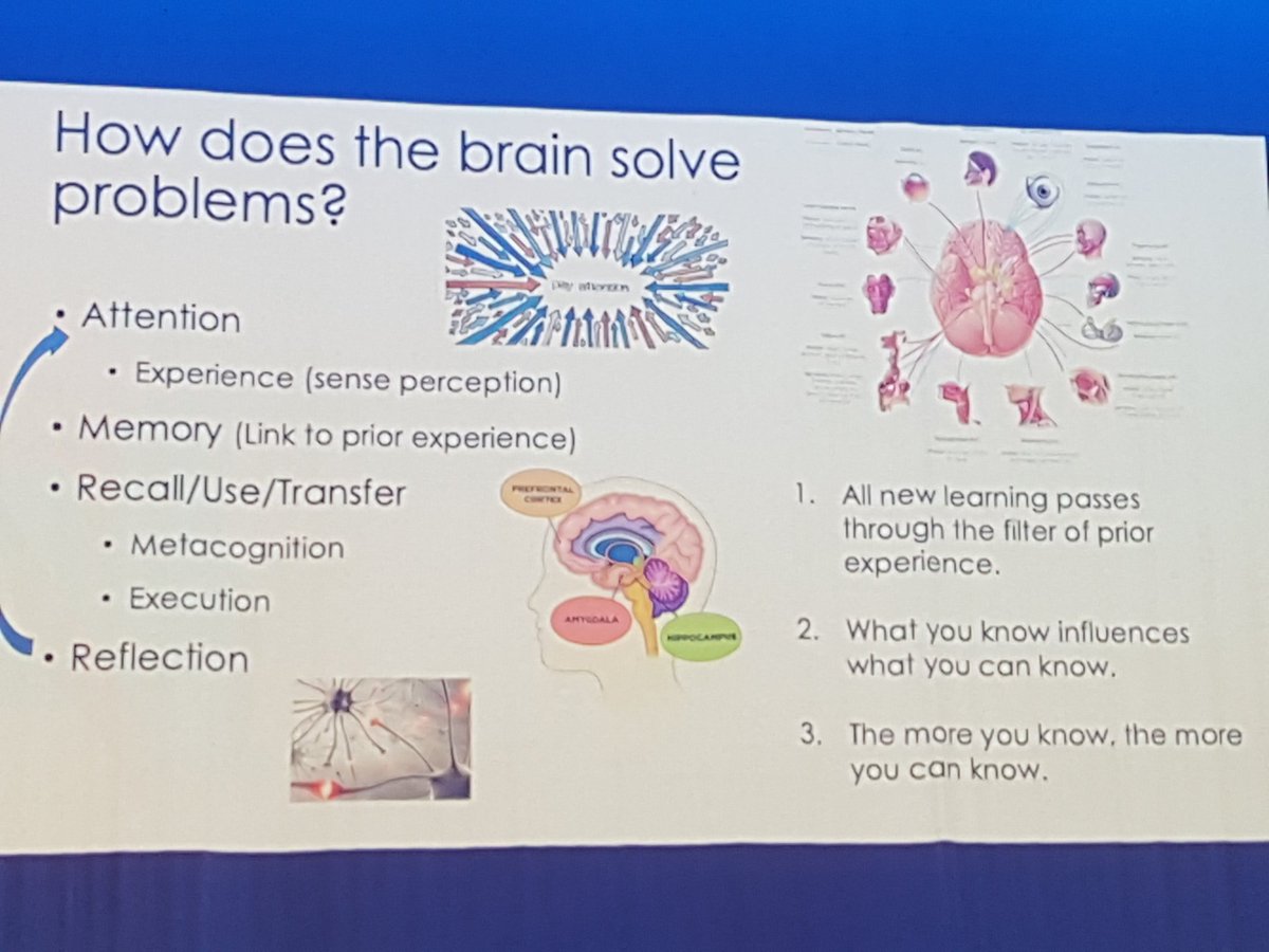 AYetsko's tweet photo. "the more you know, the more you can know" power messages about learning at #PAISedu #MDApd #AASSA https://t.co/ew9FXPeaWd