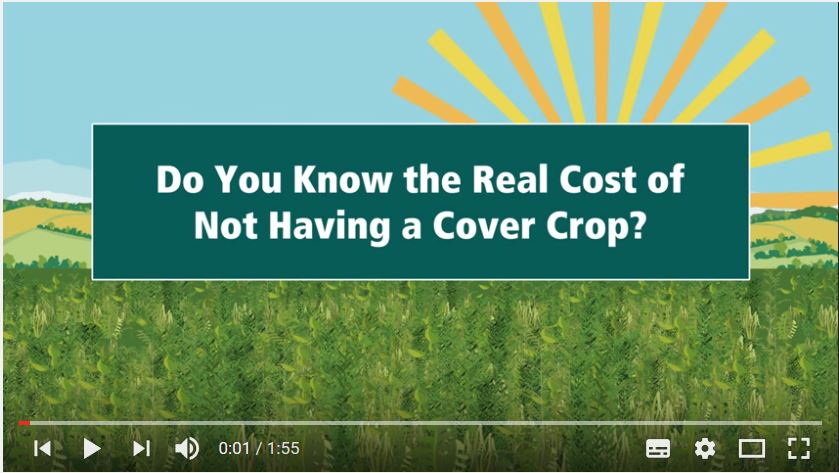 DSVUKTerraLife's tweet photo. DSV TerraLife- choosing the right species for cover crops    

https://t.co/ZpxxiuDtN9 … https://t.co/3JI9lZBpg5