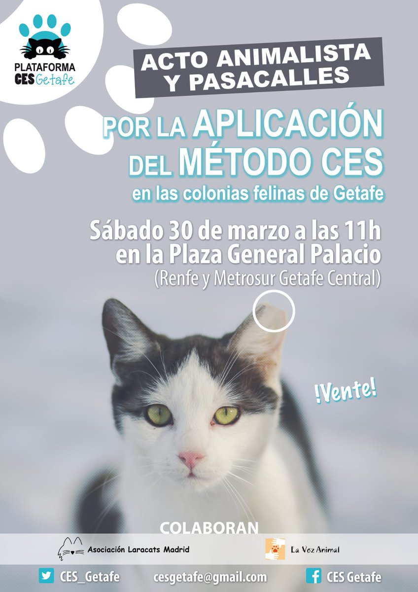 ces_getafe's tweet photo. El próximo sábado, tenemos una cita en #Getafe!!
Por ell@s, por ti ¡Vente!
#MétodoCES
#FelizLunes https://t.co/xcKRF0rbdw https://t.co/j9kBJi97xk