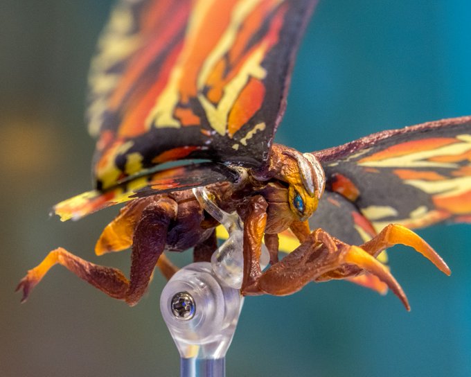 モスラのtwitterイラスト検索結果 古い順