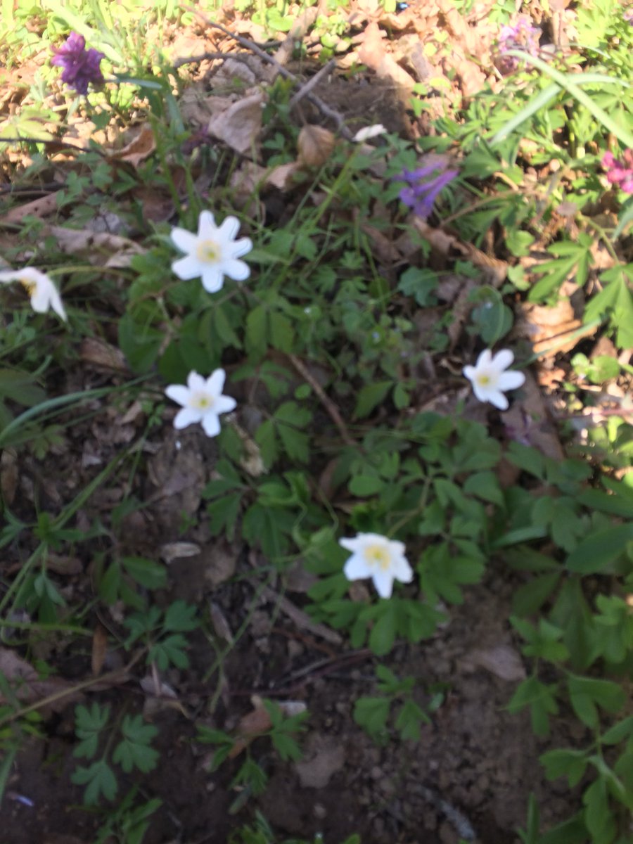 v_brandner's tweet photo. Endlich Frühling!! https://t.co/VhtLdaMtYr