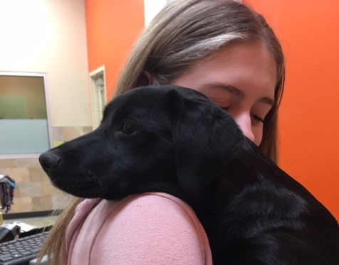 jennifer_wolf's tweet photo. Grateful for a new addition to the Wolf Pack! #NationalPuppyDay #MakingGratitudeEasy https://t.co/RModJ0df3r