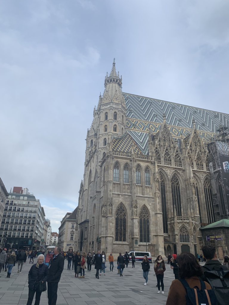 teoec1977's tweet photo. #RAWCrew #runningaroundtheworld @marathorunners @_r4fun_ #Vienna #Austria con lluvia y a 9 grados. https://t.co/dbSAEtxYbx