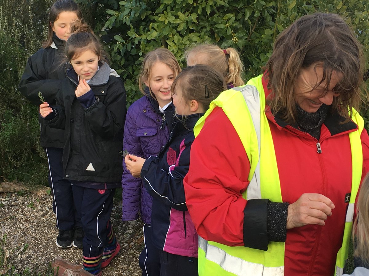 IHS Prep School tweet media