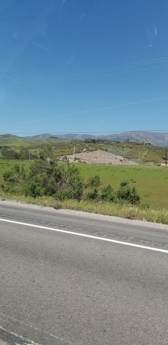 ReEntertain's tweet photo. Where ae all the cows? https://t.co/Mlzr8817pc