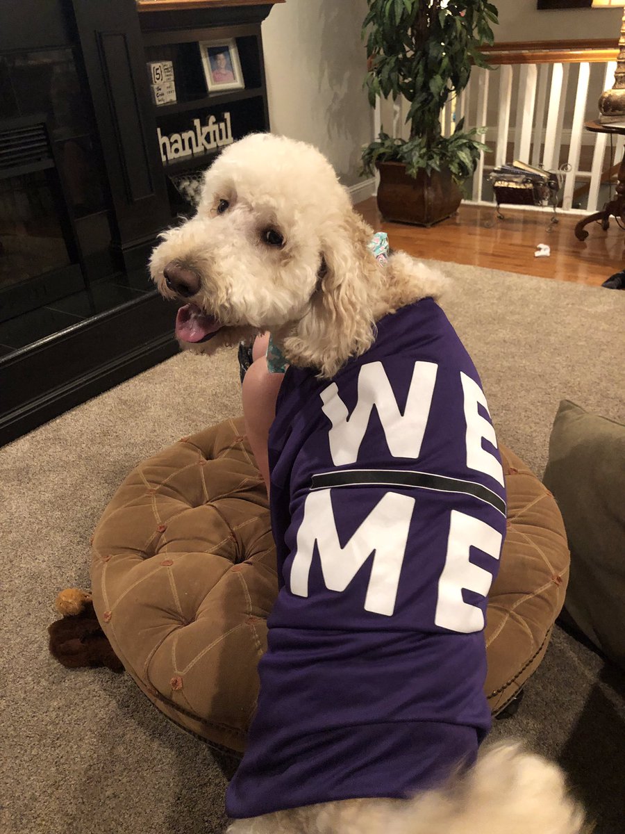 jccrabb11's tweet photo. Even the family dog has bought into our motto this year!  #weoverme https://t.co/8Ovx5dj6Kj