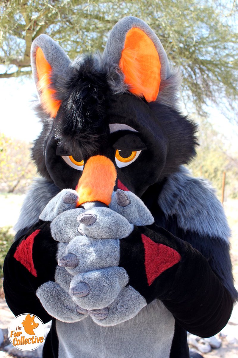 The Future is Now! Welcome to The Fur Collective family, Future the Wolf! 🖤🐺🧡
<a href="/FritzyFuture/">Future 🔜 FWA 🍊</a>