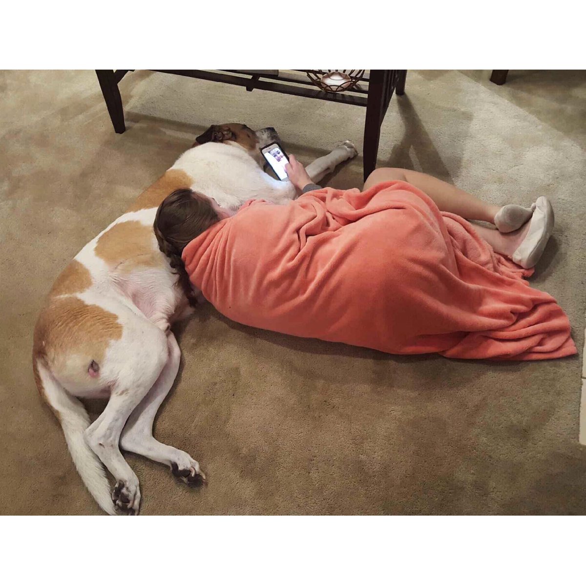 h_carb's tweet photo. Thanks for being the best pup. We’ll miss you so much. Thanks for the best 12 years💔🐶 https://t.co/RFMZHbHbMP