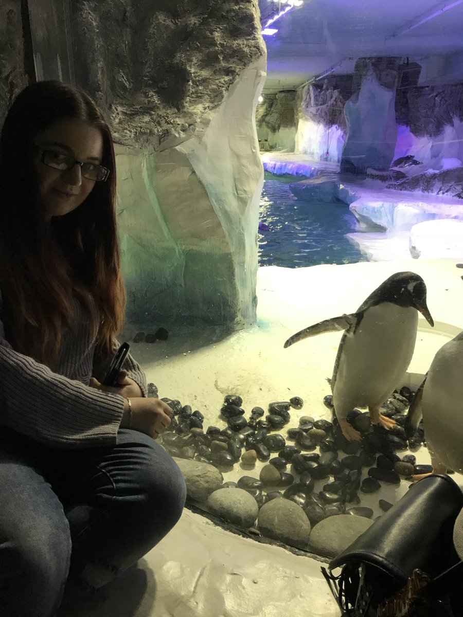JFVlogz's tweet photo. Sealife – Birmingham, UK 08/04/2018 https://t.co/yp5gCfxjbb https://t.co/SLdV6ZBTa5