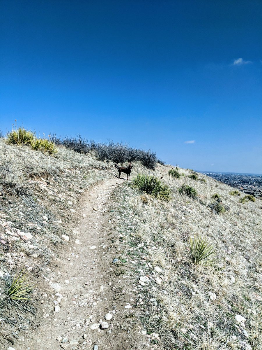 RGriffithDPT's tweet image. It may be mud season, but the #Coloradotrails are calling. Time to get reacquainted. #Trainingseason #Imovedtoday #optoutside #getyourshoesdirty
