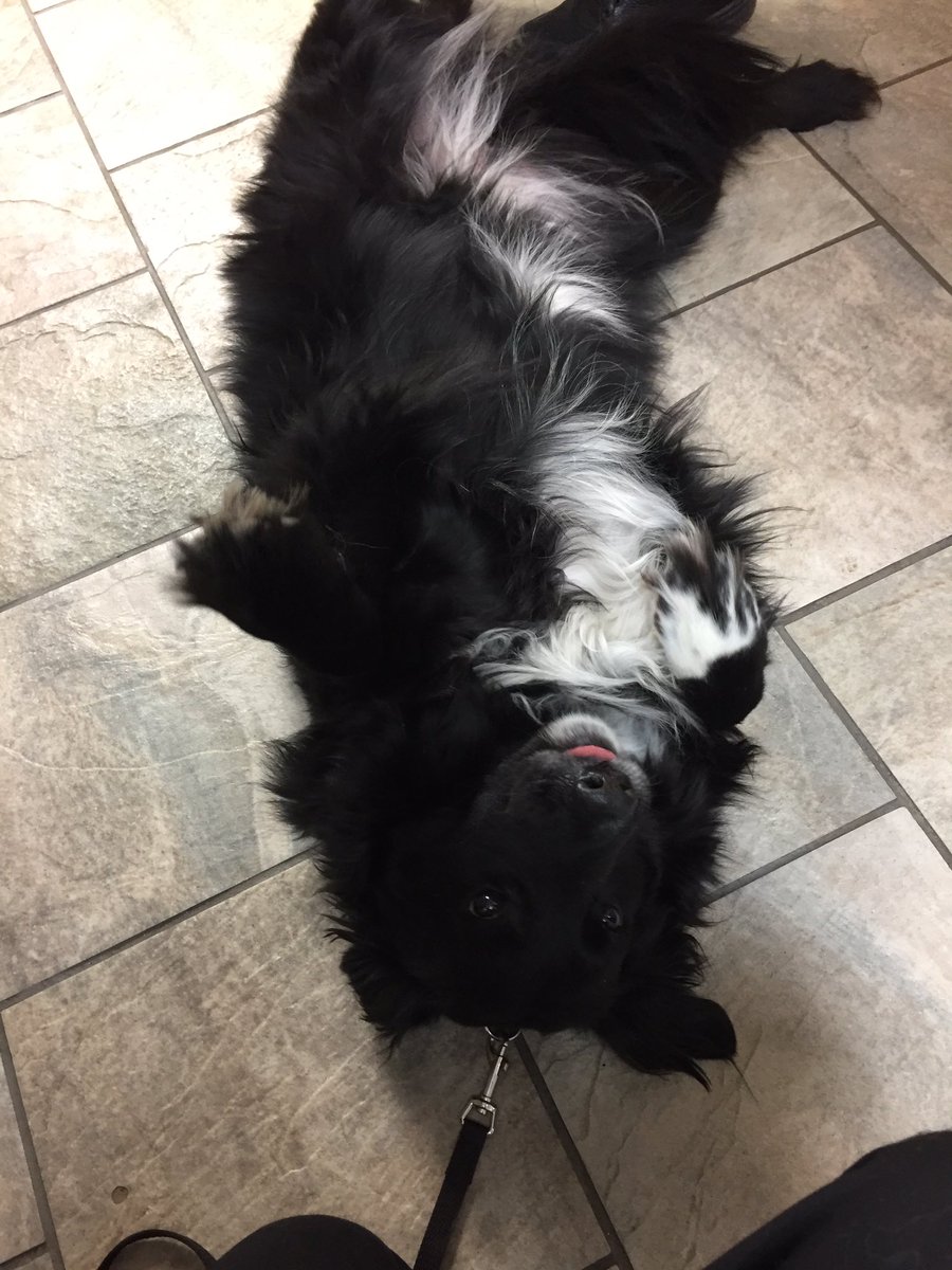 Cora was by today for visit: Which way is up? 🤪