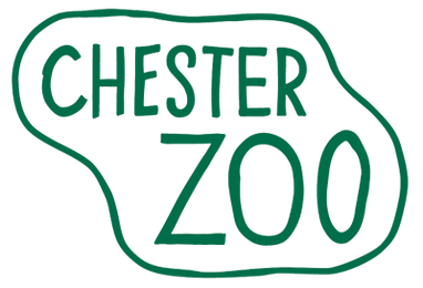 JFVlogz's tweet photo. Chester Zoo, UK 05/08/2018 https://t.co/Hbob56YR2h https://t.co/CPLgvJOYRR