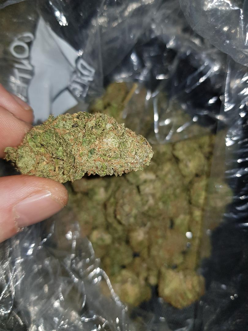 __JamieB's tweet photo. Just got a new drop! Finally, Time to #Blaze up!

Got me a huge bag of #UK #CherryZkittlez!
&amp; a smaller bag of some incredible #Cali #Zkittlez!

Time to get #High!

#CannabisCommunity #CannaFam #StonerFam #CannabisCulture #Stoned #Stoner #StayLifted #SmokeWeedEveryDay https://t.co/fr9vXlFSEb