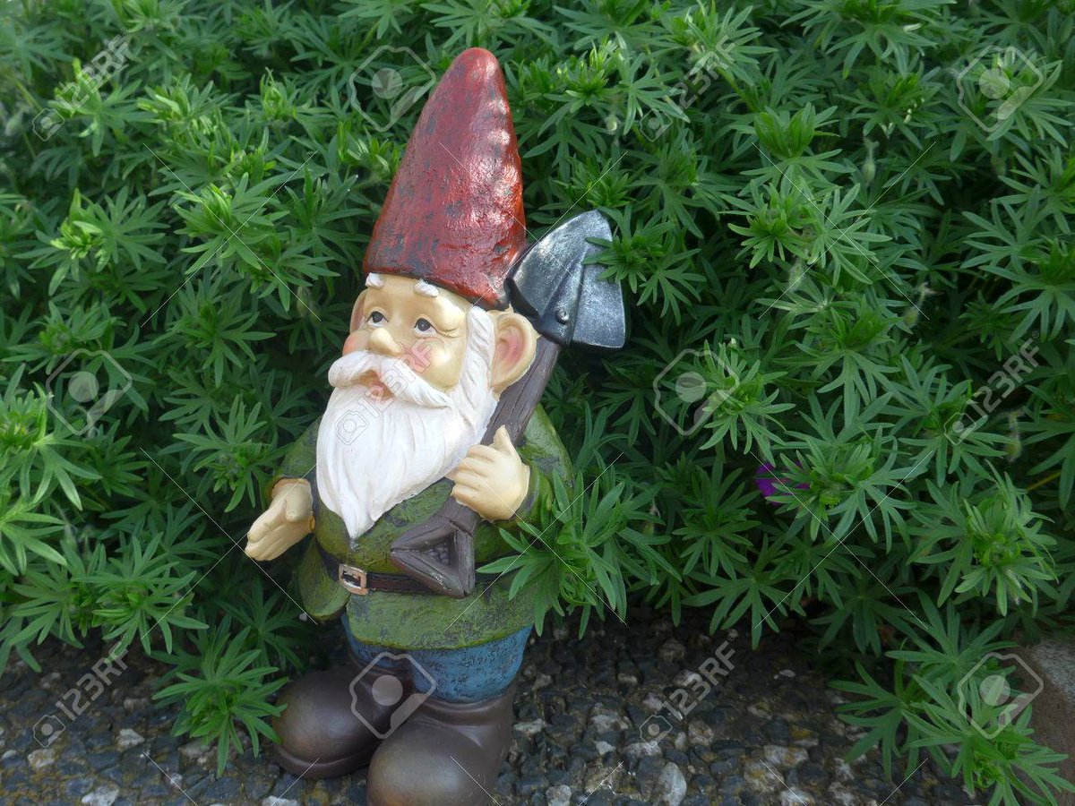 elconfidentenqn's tweet image. Denuncian una ola de robos de enanos de jardín en Cipolletti bit.ly/2JOcI4W