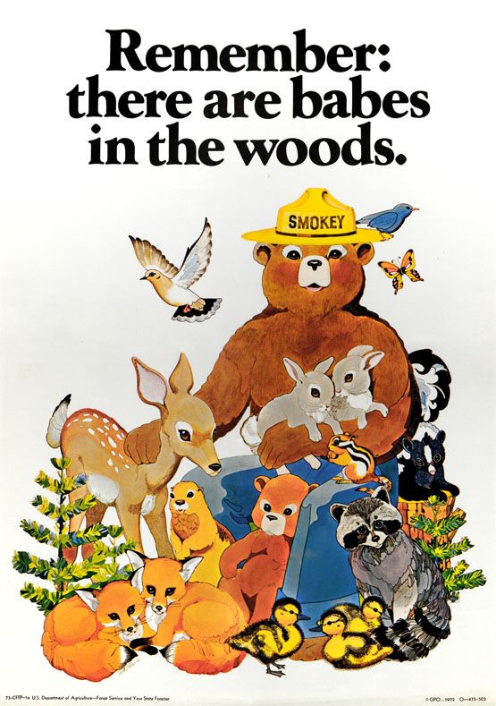 smokey_bear's tweet photo. Remember: bunnies, chicks, and other tiny creatures are counting on #OnlyYou to prevent wildfires!  🐰🐣 https://t.co/cZrAsx6RUv