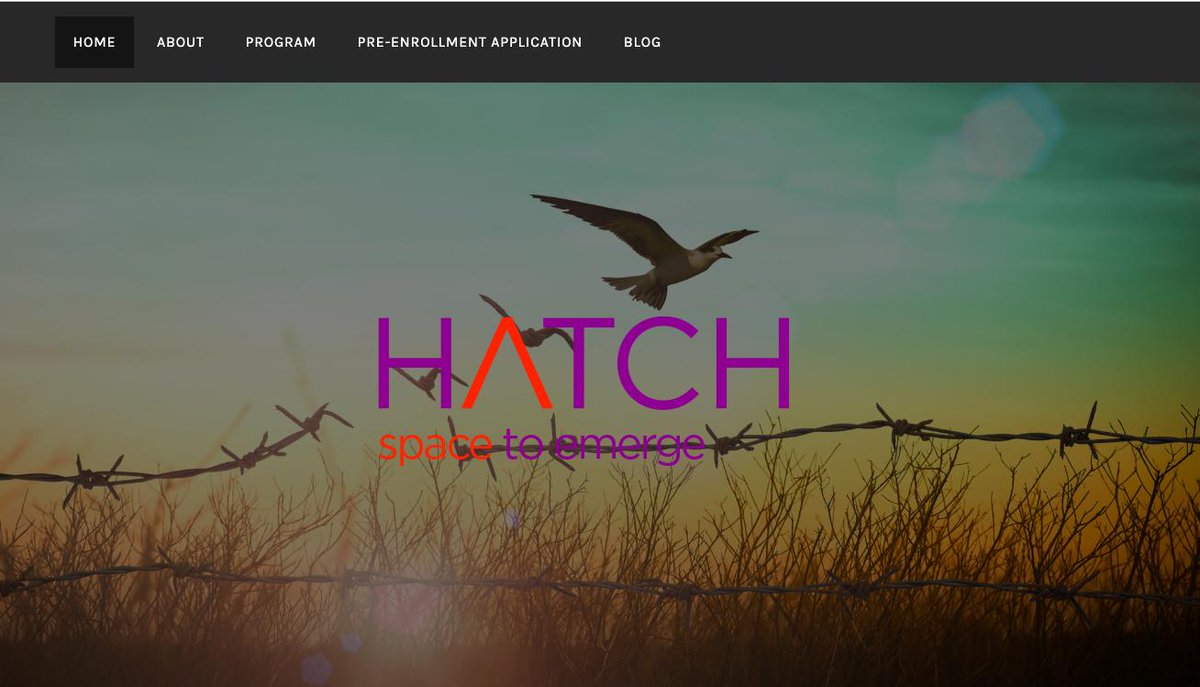 .CEO Platform tweet media