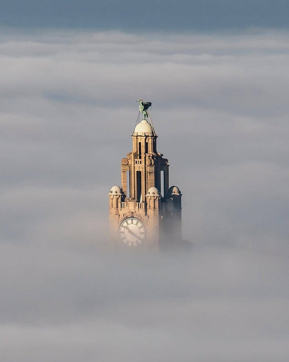 The Liver Bird standing tall 😍