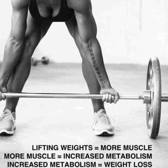 SolidFitWear's tweet photo. #fitness #motivation #bodybuilding #gym #lifting #workout #inspirational #goal #dedication #weights #gains #bodygoal #training #lifestyle #fit #muscle #muscles #healthybody #summer2018 #fitspiration #getfit #behappy #abs #fitspo #fit #sexy #bodygoals https://t.co/XBSxBIVH4A