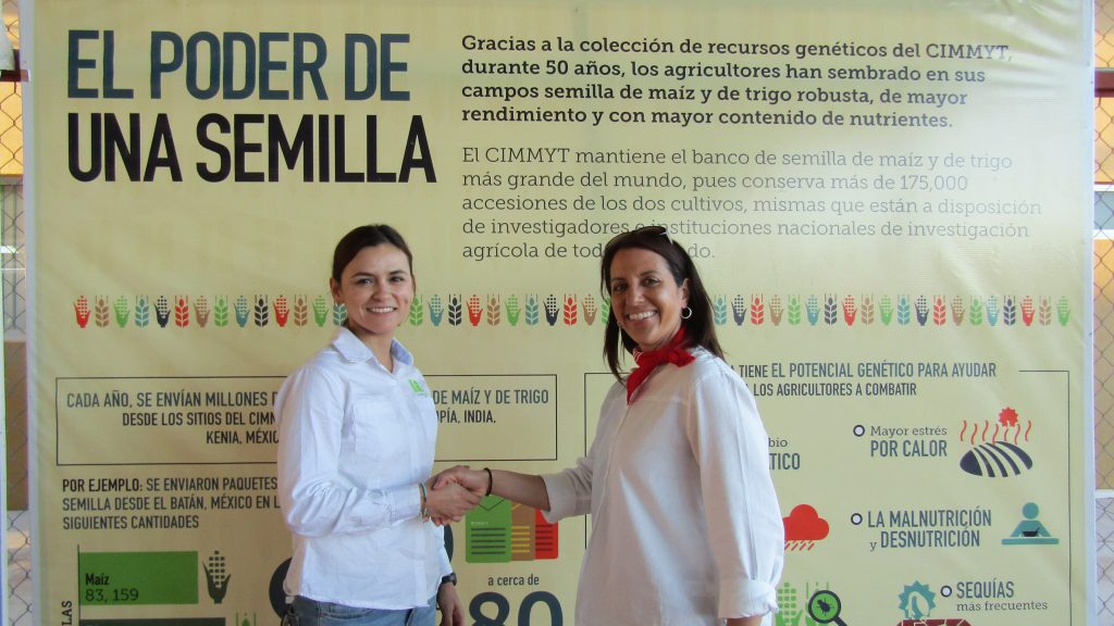 Read our latest story: Q&amp;A with Carolina Rivera, one of this year’s six recipients of the 2019 Jeanie Borlaug Laube Women in Triticum (WIT) Early Career Award: bit.ly/2FeNUO0

#womeninwheat #cgiarwheat <a href="/carorivera19/">Carolina Rivera-Amado</a>
