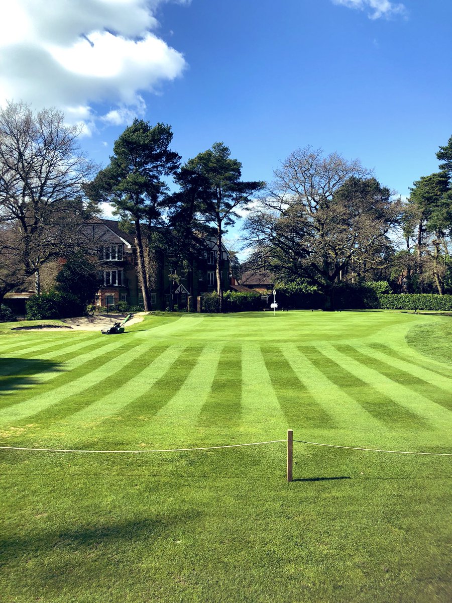 Brad Annels tweet media