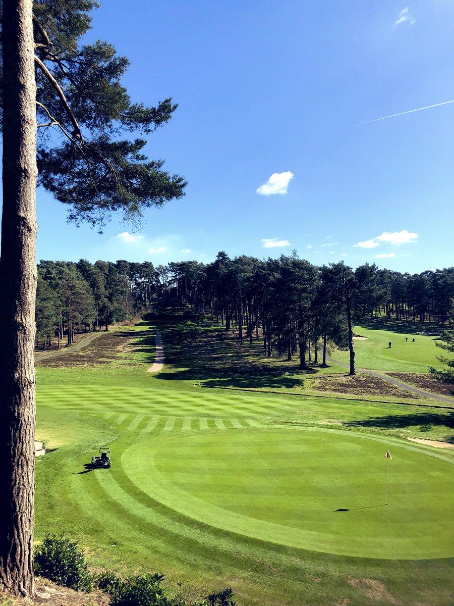 Brad Annels tweet media