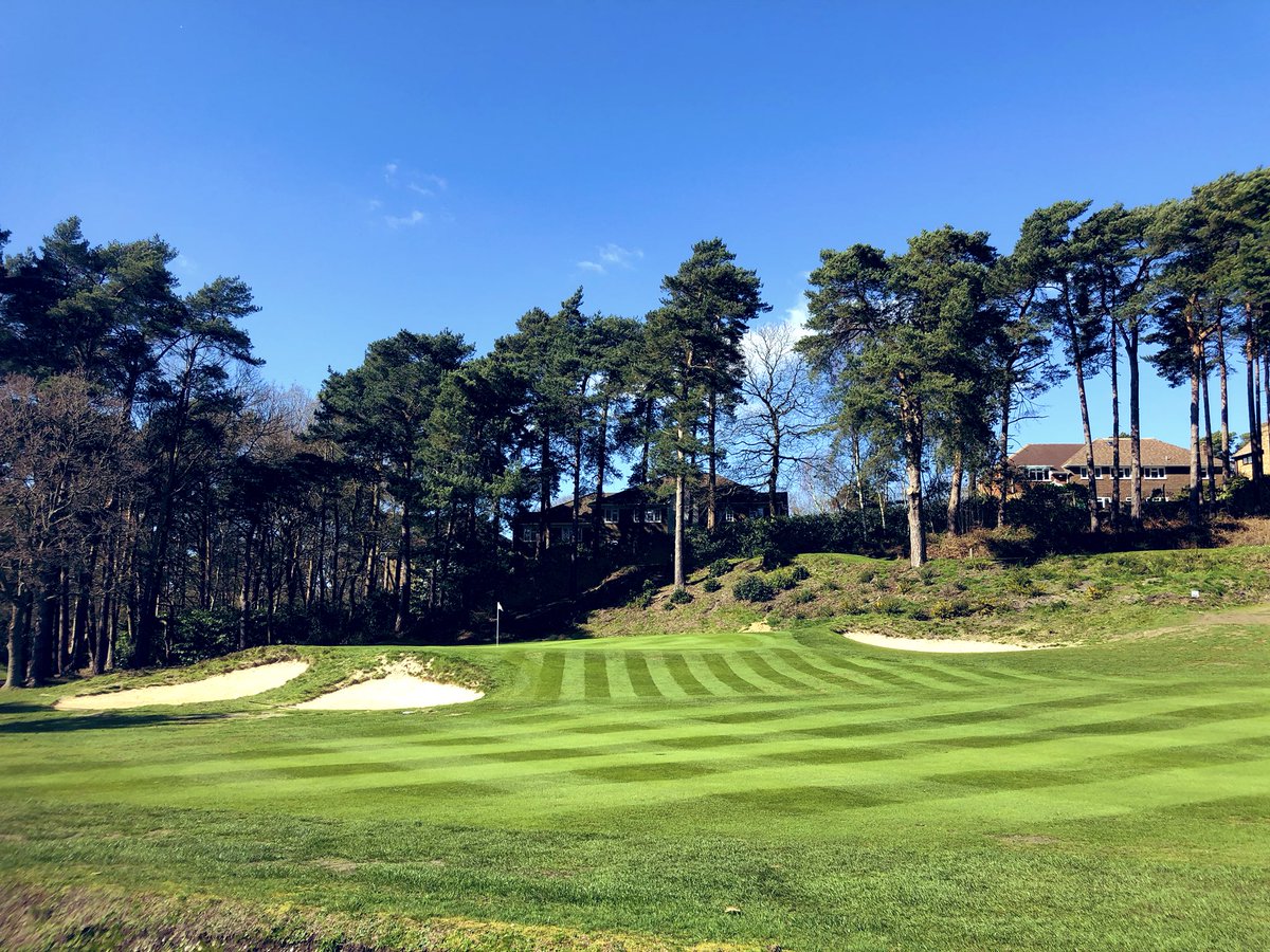 Brad Annels tweet media