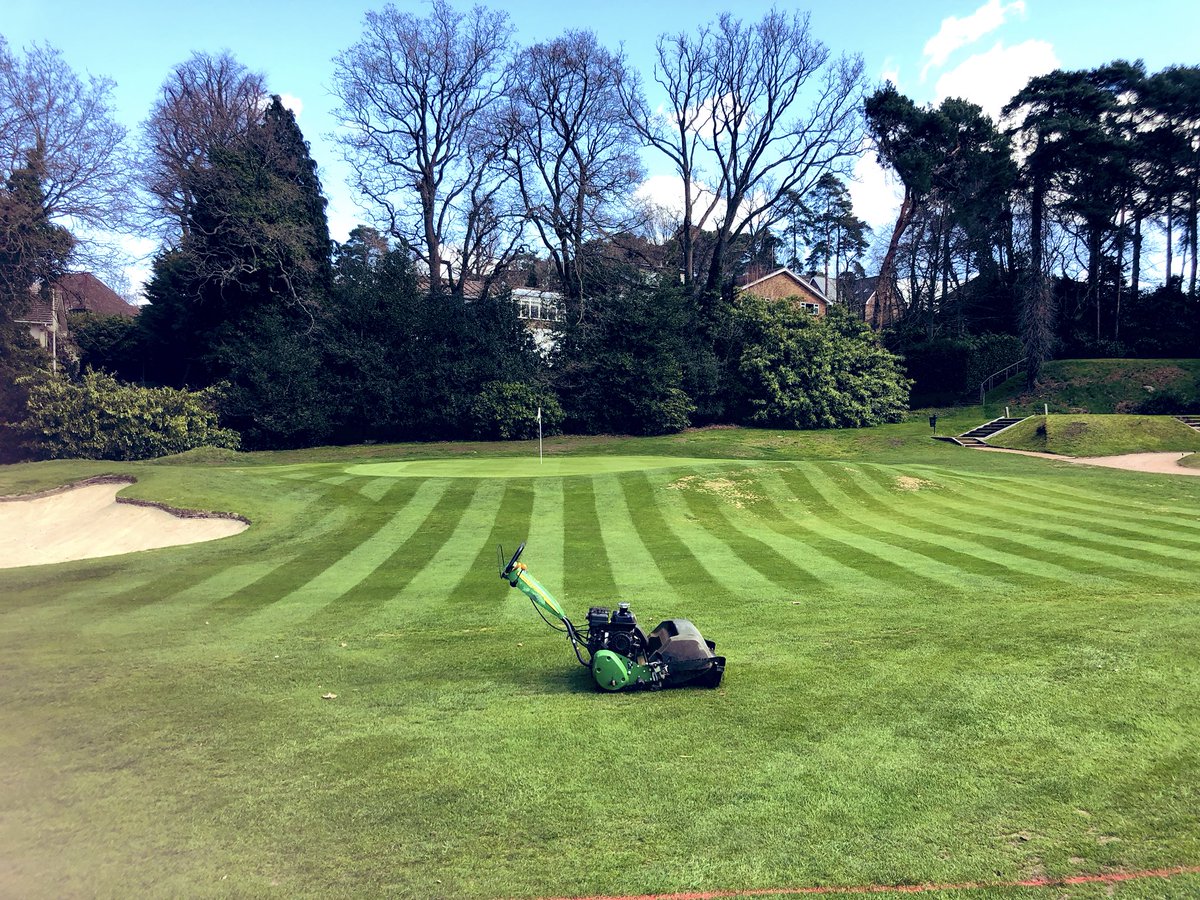 Brad Annels tweet media