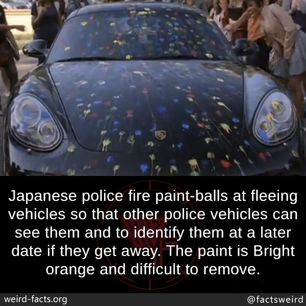 blowingfact's tweet image. 