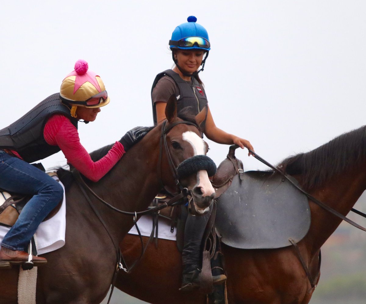 Barton Thoroughbreds tweet media