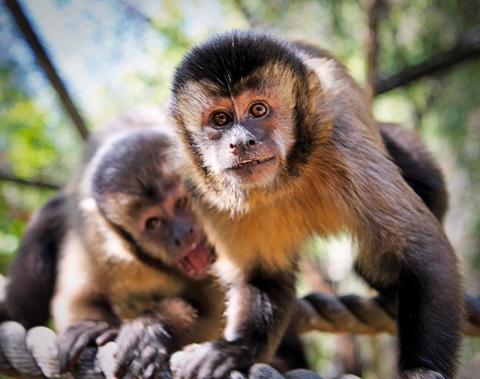 D2hHl2LUgAIWzfc?format=jpg&name=small