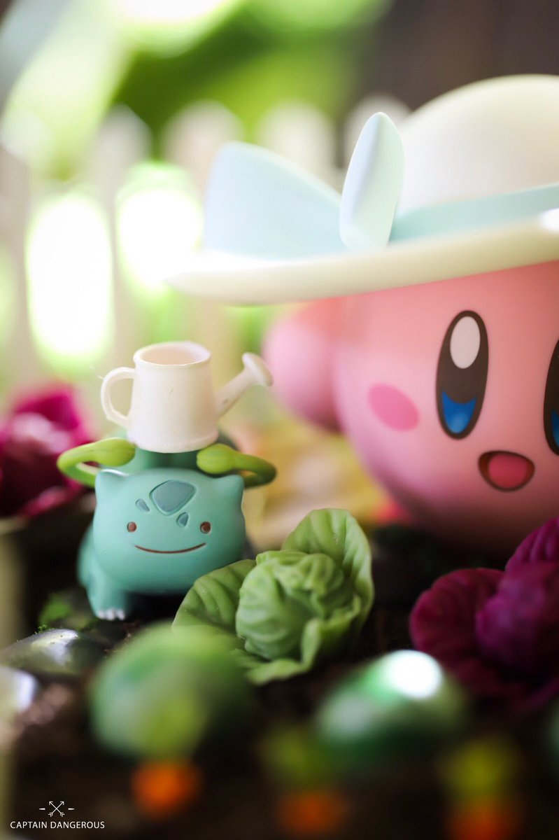 CaptDangerous64's tweet photo. Gardening with friends 👩🏻‍🌾🥕 #nintendo #kirby #pokemon #videogames #toyphotography #canon @KirbyInformer @nocontextkirby @NintendoTweet @teamkirby92 @Pokemon @Junichi_Masuda @Sora_Sakurai @NintendoAmerica @agentbizzle @Pokemon_cojp @princessology @nintendolife https://t.co/TcbjK62OaQ