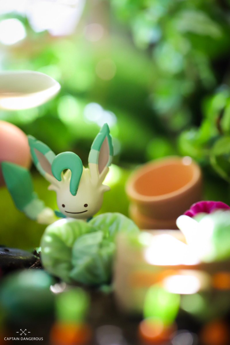 CaptDangerous64's tweet photo. Gardening with friends 👩🏻‍🌾🥕 #nintendo #kirby #pokemon #videogames #toyphotography #canon @KirbyInformer @nocontextkirby @NintendoTweet @teamkirby92 @Pokemon @Junichi_Masuda @Sora_Sakurai @NintendoAmerica @agentbizzle @Pokemon_cojp @princessology @nintendolife https://t.co/TcbjK62OaQ