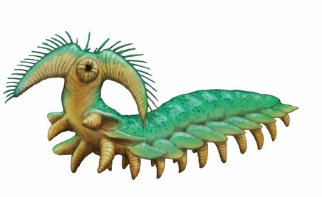 Pambdelurion is an extinct animal from the Cambrian. It is thought that they were arthropods.

(Credit: Satoshi Kawasaki)