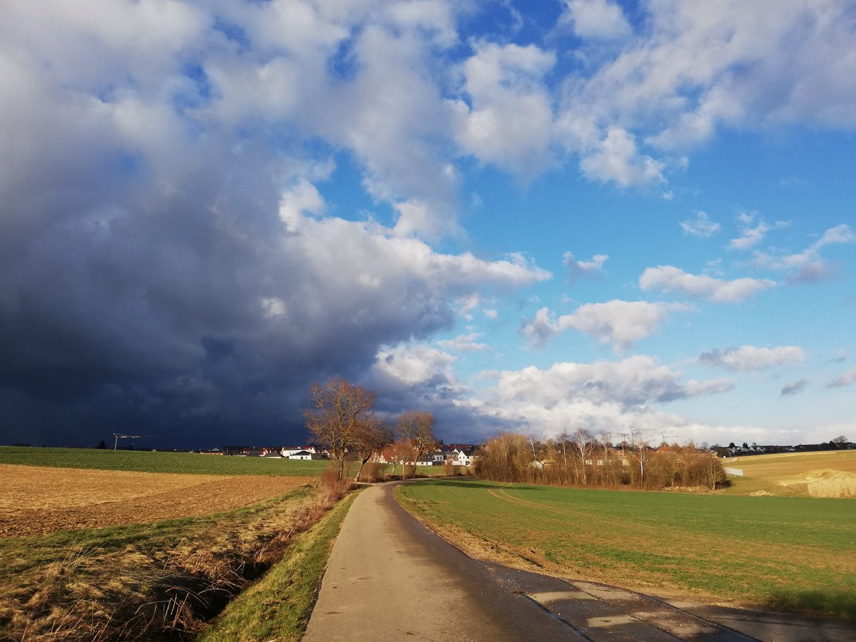 Queenie_TV's tweet photo. Wenn sich nur denkt nun schnell heim und es auch geschafft hat! https://t.co/gMvli2J0Qb