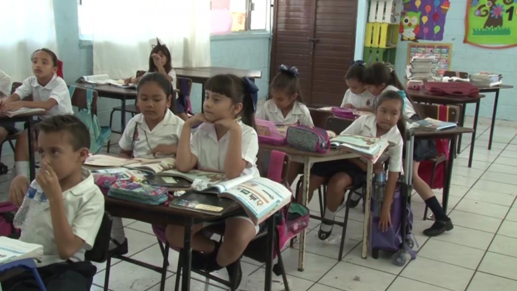Hoy arranca el periodo de entrega de documentos para nivel básico

nnsinaloa.com/noticia/hoy-ar…