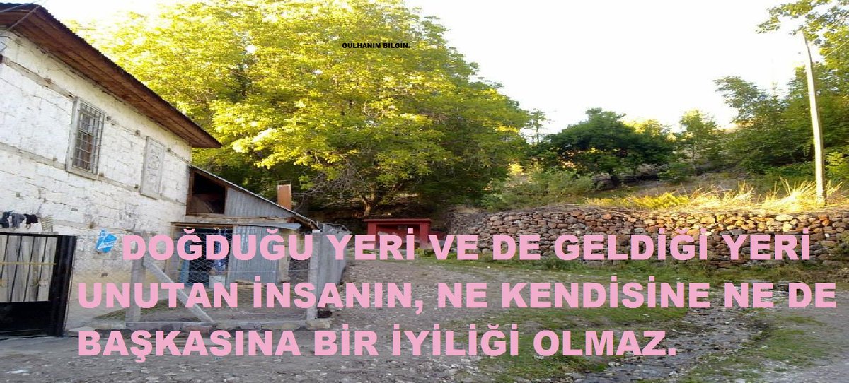BilginEkber tweet picture