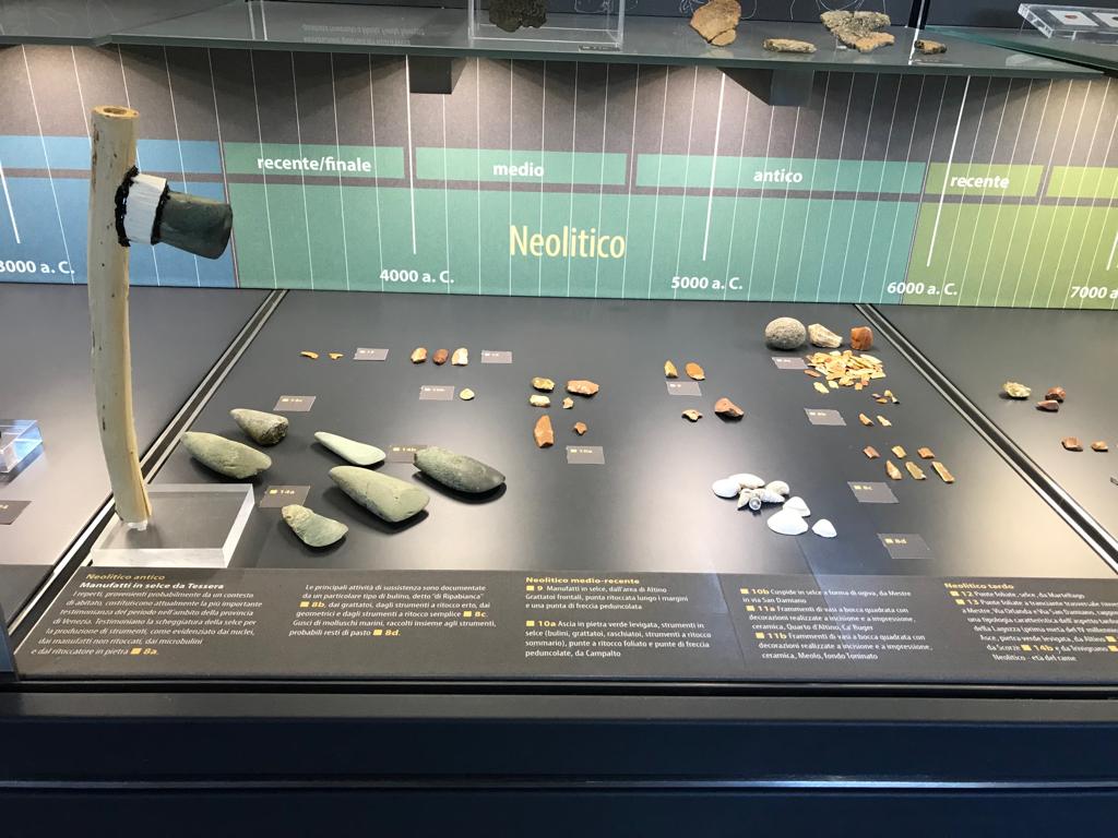 ISSAbateZanetti's tweet photo. Tante le attività formative extra curricolari: visita di istruzione al museo di #Altino, per conoscere la storia della nostra città fin dall'inizio. https://t.co/tcOYn5th4H