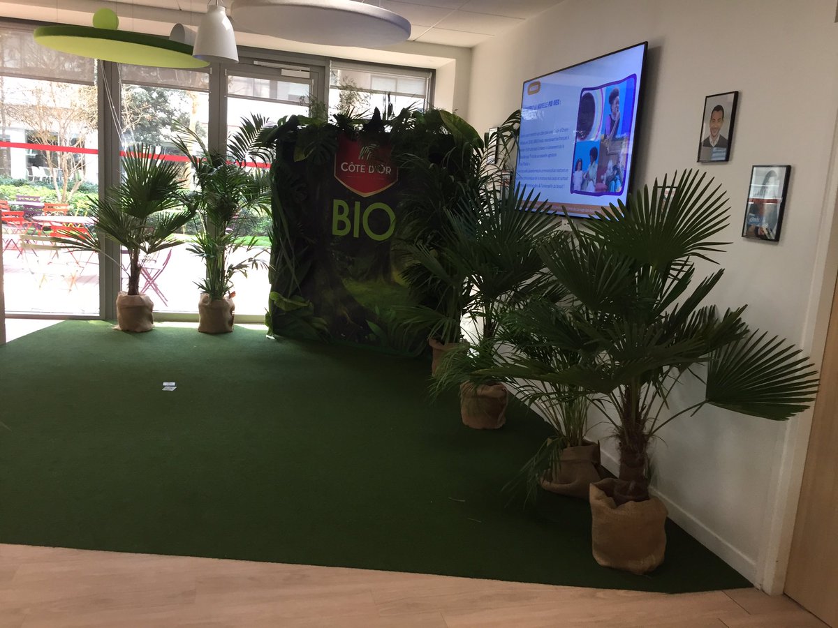 AgencePanenka's tweet photo. [Cote D’Or Bio]

🌿Un peu de verdure pour commencer la semaine avec un retour en images sur l’évent interne #CoteDor et le lancement de sa #GammeBio

Au programme :
📸Une animation Polaroïd 
🍃Un photocall habillé en feuillage
🌴Une décoration tropicale 

#CoteDor #EventInterne https://t.co/sgYFZhIPgm