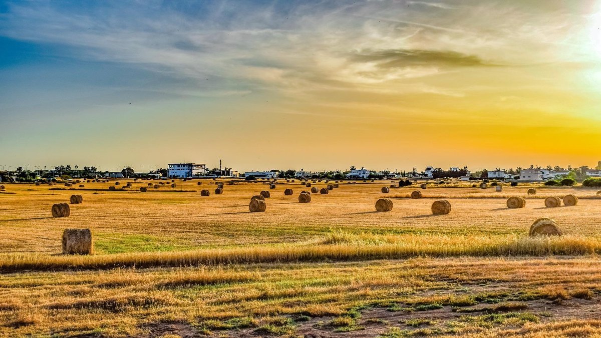 GreenFlex's tweet photo. #GoodFuture @olmixgroup @CambusierFrance @AgriCarbone... leur point commun ? Ces agro-entrepreneurs, innovants et inspirants, se sont engagés à créer de la valeur sur les territoires ruraux ! https://t.co/miKFi5ChwV https://t.co/ZhfG4SRkz1