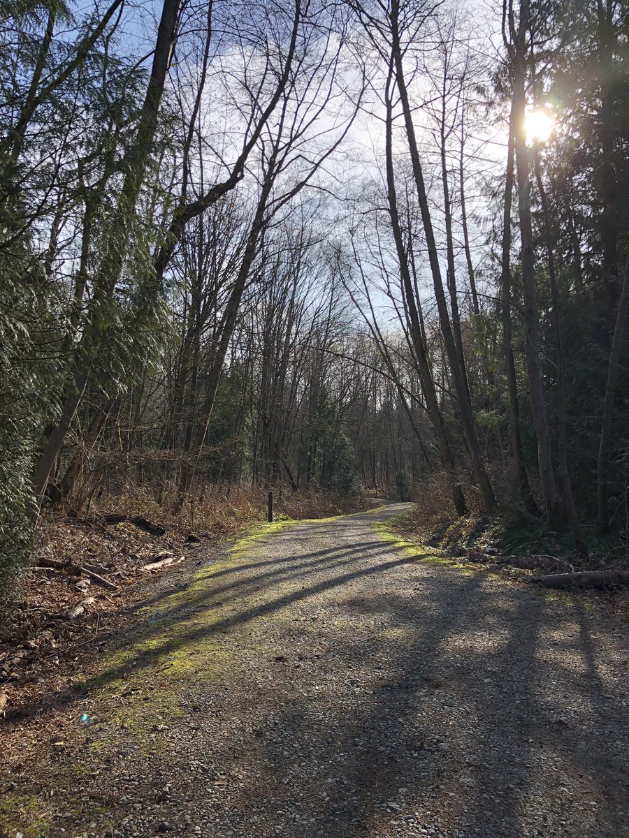Celebrated my 49th yr with a brisk 5k morning run and my 🎂coffee <a href="/StarbucksCanada/">Starbucks Canada</a>