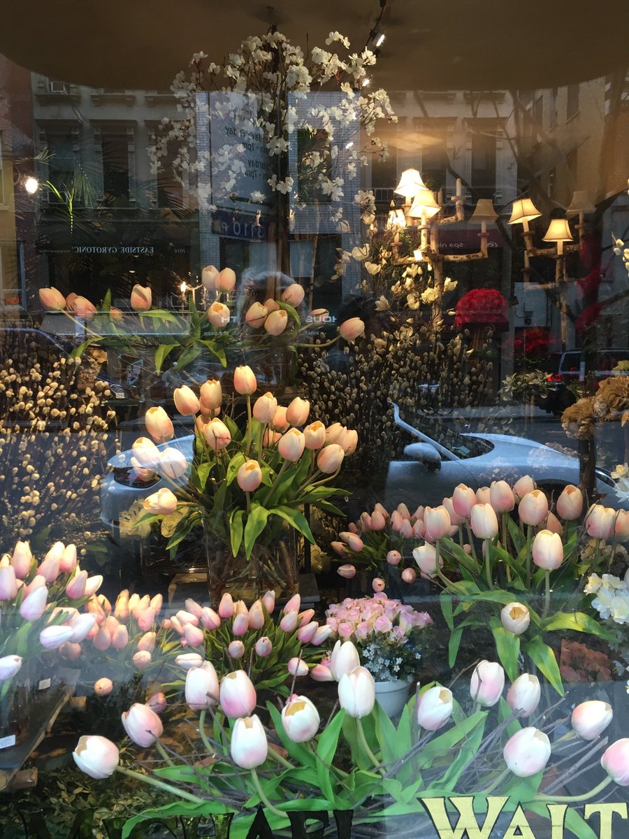 SandraNavidi's tweet photo. #Spring, you are so welcome! #NewYork #MondayMotivation #MondayMotivationSpring https://t.co/A6av0iZuqB