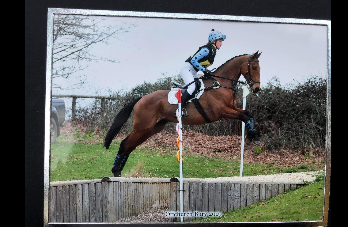 EJBishopRacing's tweet image. Lovely to see Midnight Charmer enjoying his new life with Imi Organ #multiplewinner #underrules #RoR #eventing