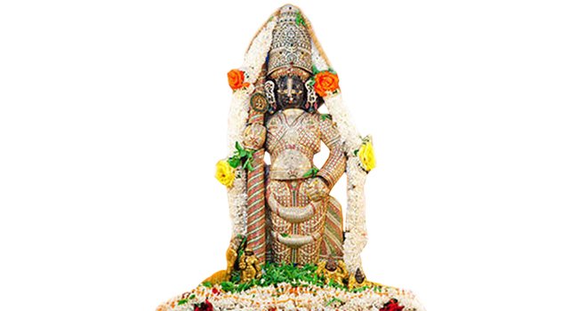 Srikrishnamatha tweet media